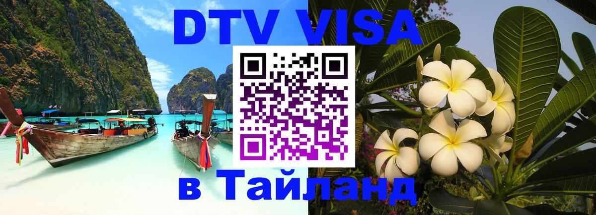 Сколько стоит DTV виза — актуальные цены, оформление даже без документов - Душанбе  05.10.2025 